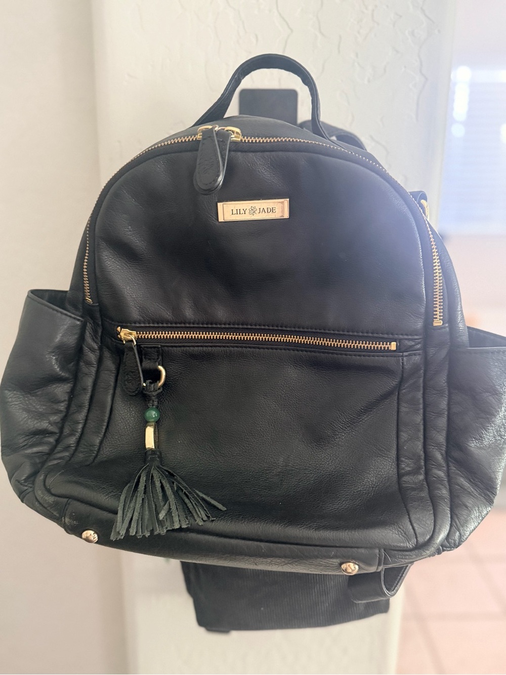 Lily Jade Black Leather Backpack with Tassel Accent